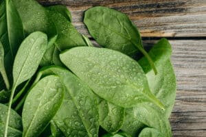 Fresh Green Palak